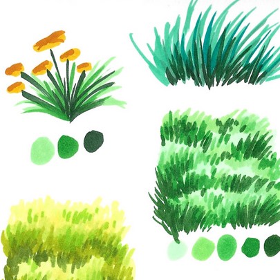 Grass studies (Personal)